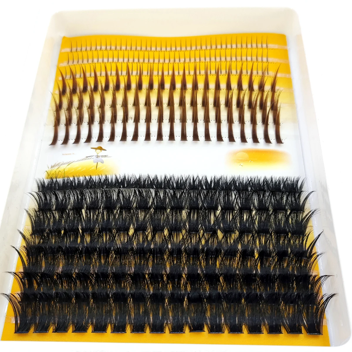Eyelash Extension Doll Eye - Накладные ресницы AMSDCN 60D-120D, пучковые, 3D,