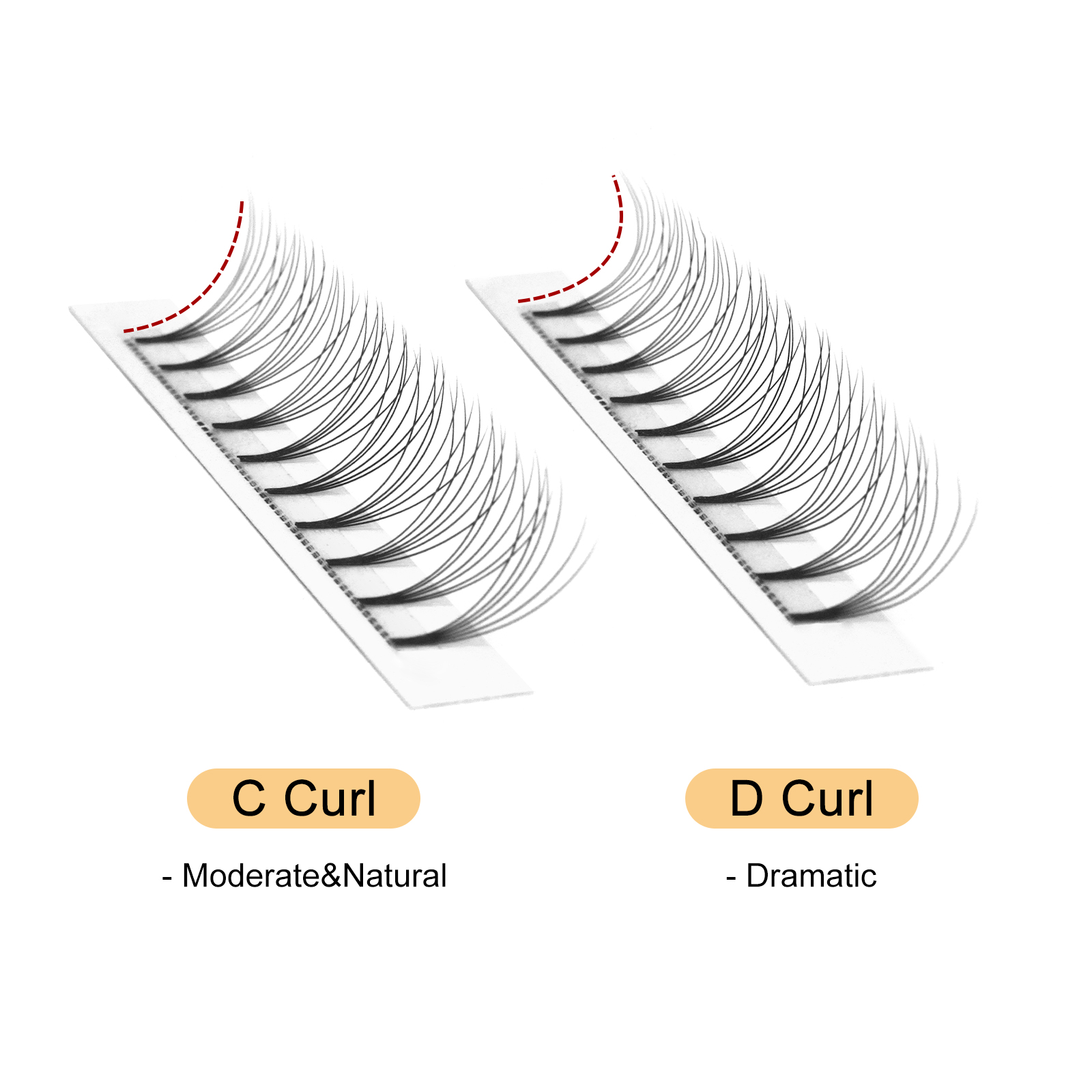 Quewel готовые веерные ресницы – обзор и цена Eyelash Extension C Curl