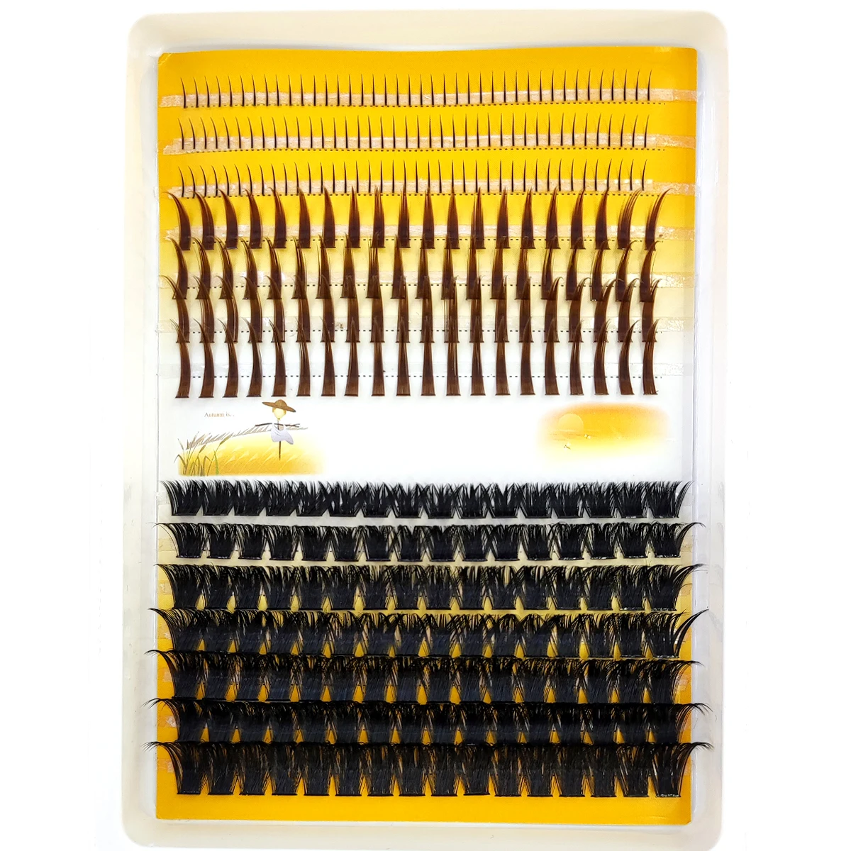 Накладные ресницы AMSDCN 60D-1 – обзор и цена Eyelash Extension Doll Eye